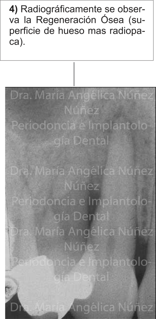 dra.mariaangelicanuñeznuñez4